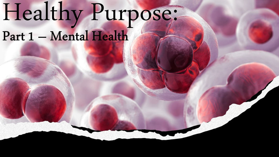 Healthy Purpose - Mental Health